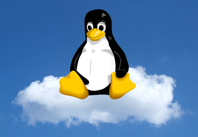 Linux Cloud Hosting